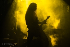 DSC_5469-Enhanced-NR